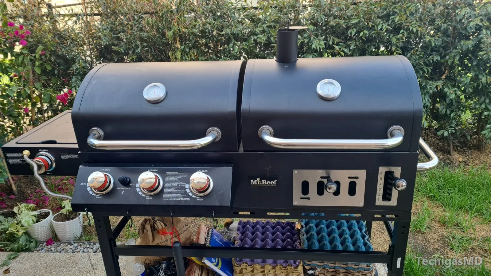 Asador a gas Mr.Beef de dos tapas, conectado con manguera flexible metálica por el costado izquierdo en un patio con jardín